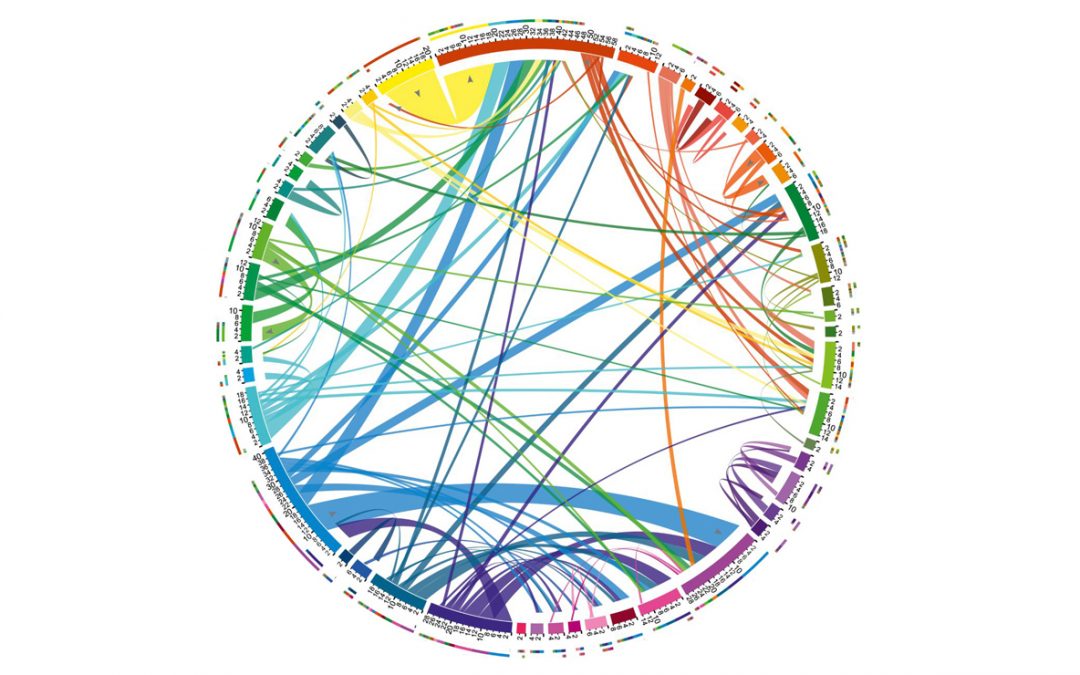 Visualizing Europe: Ecologies of the Visual