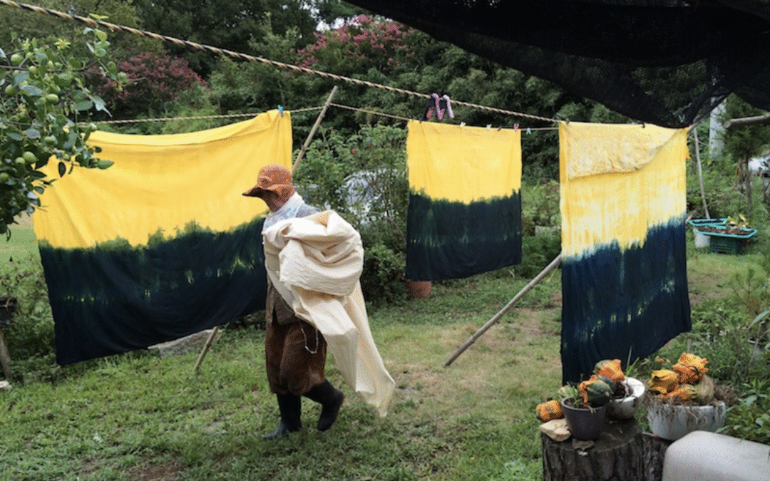 Call for papers: 1st International Conference Ruralities, Sustainable Developments & New Artistic Ecologies | 29 & 30 October 2025