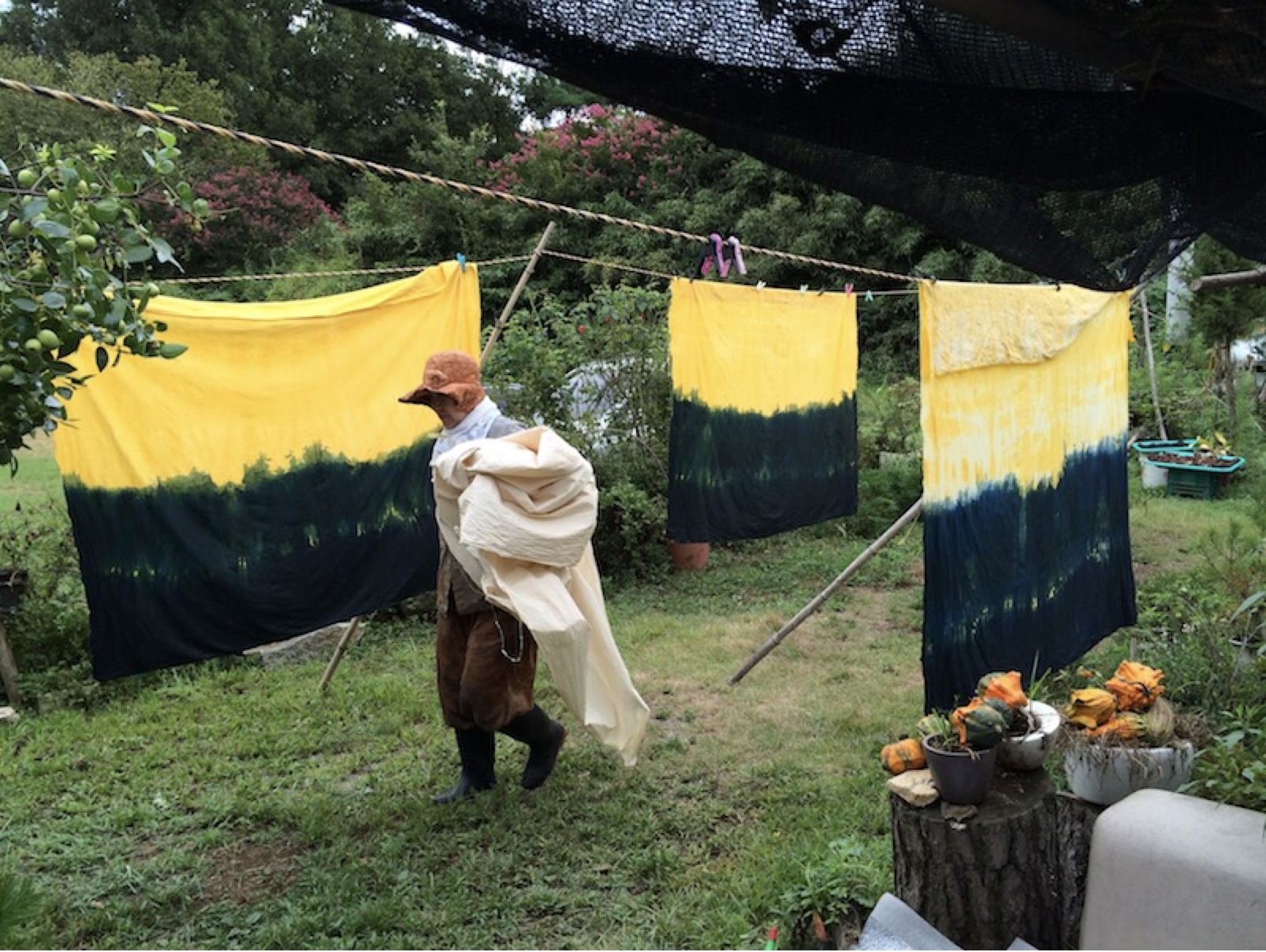 Call for papers: 1st International Conference Ruralities, Sustainable Developments & New Artistic Ecologies | 29 & 30 October 2025