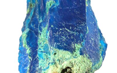 Arts and Literatures in Extractivist Cultures