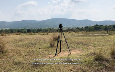 Facing extractivisms: Arts and Literatures. 2nd International Conference, Paris, June 2026.